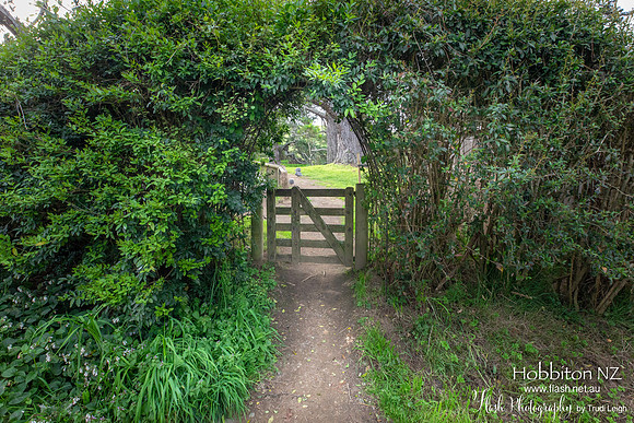 Hobbiton, North NZ