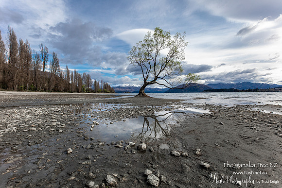 Wanakia, South NZ