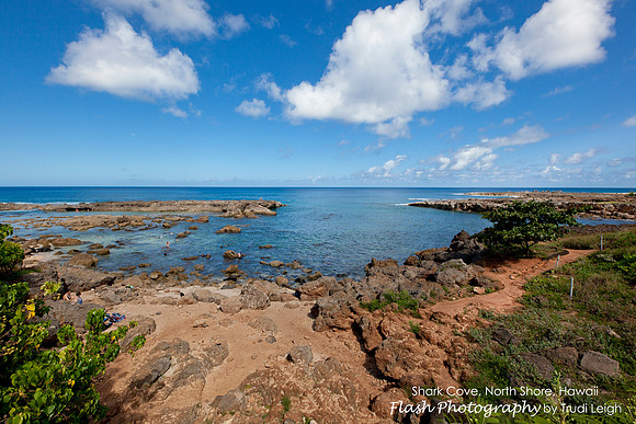 Shark Cove, North Shore, Hawaii