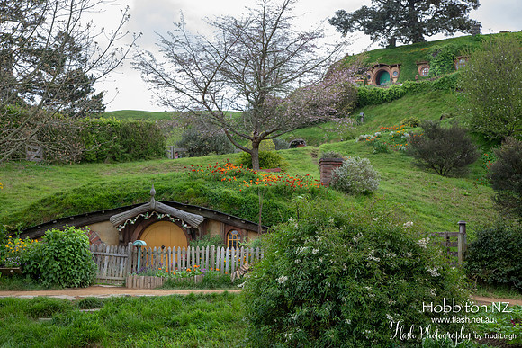 Hobbiton, North NZ