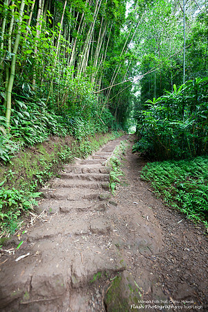Monoa Falls Trail, Oahu, Hawaii