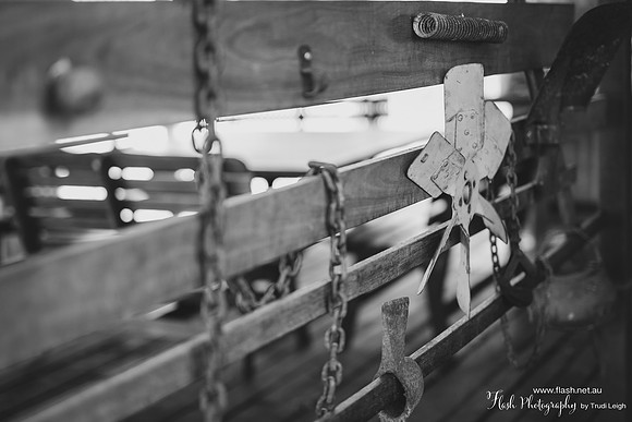 Farm Life