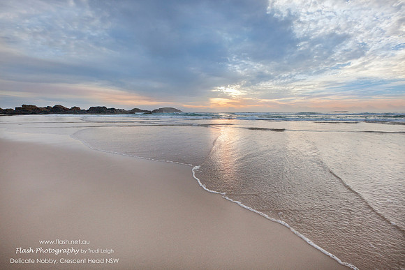 Delicate Nobby Crescent Head NSW