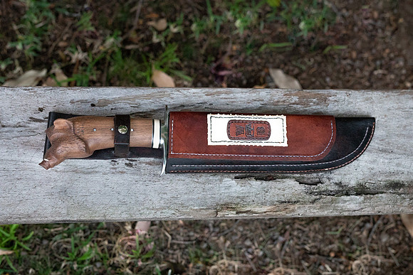 _C8A1186