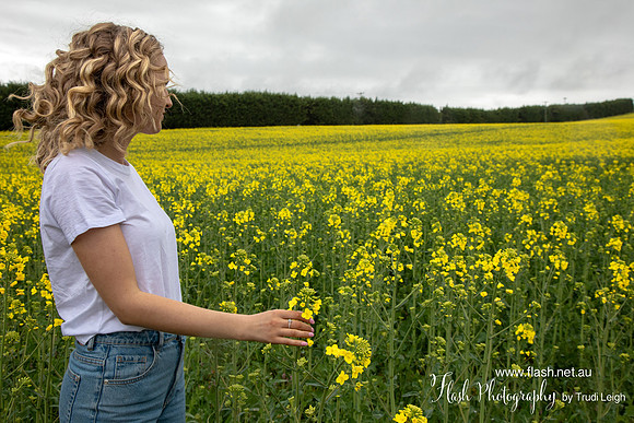 Feild of Flowers, South NZ